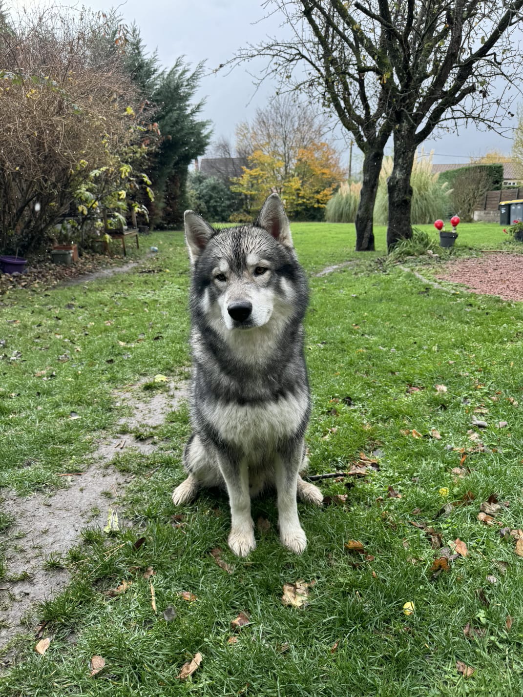 WhatsApp Image 2026-02vztev-20 at 09.43.35.jpeg